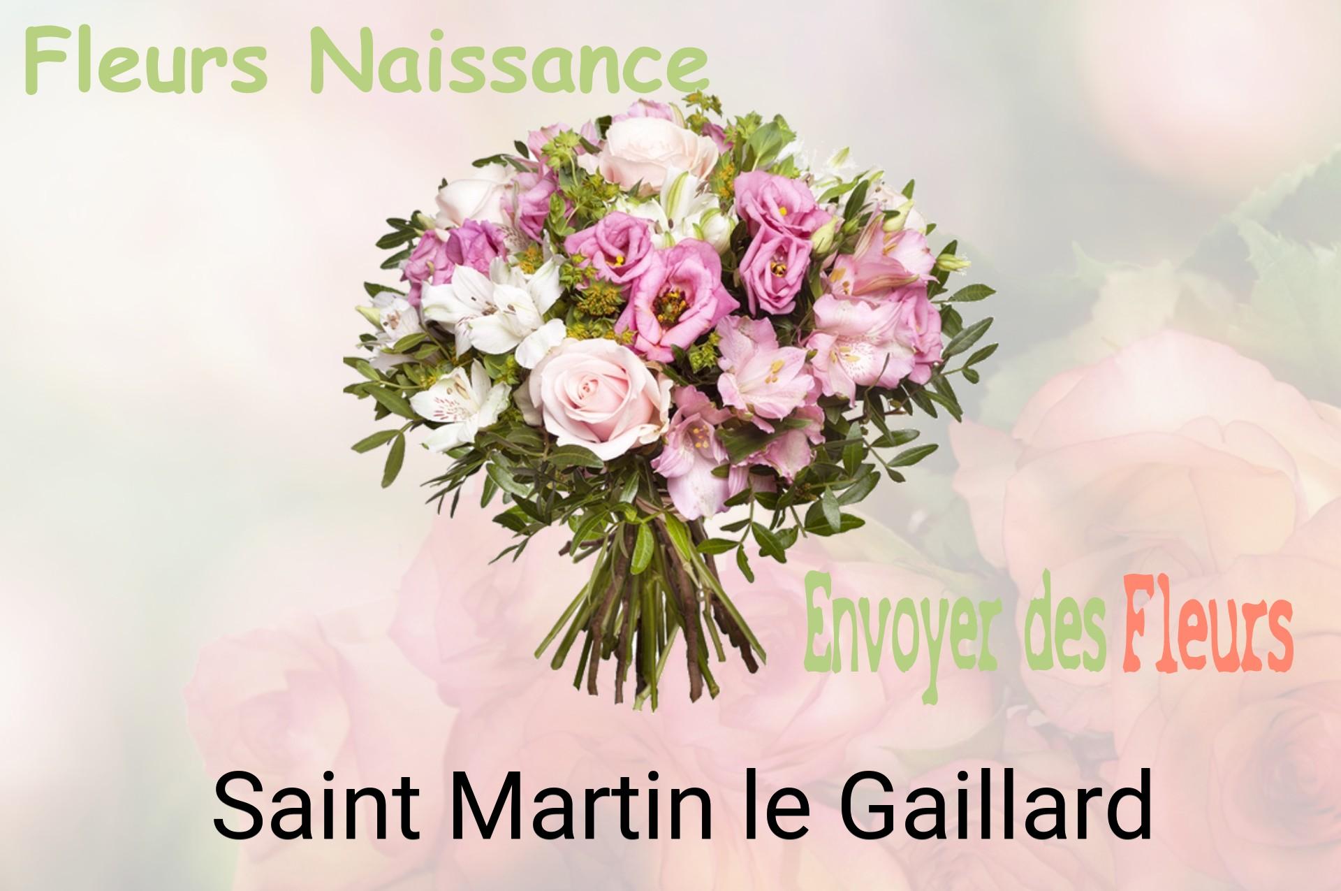 Bouquet de fleurs de naissance livré à Saint-Martin-le-Gaillard